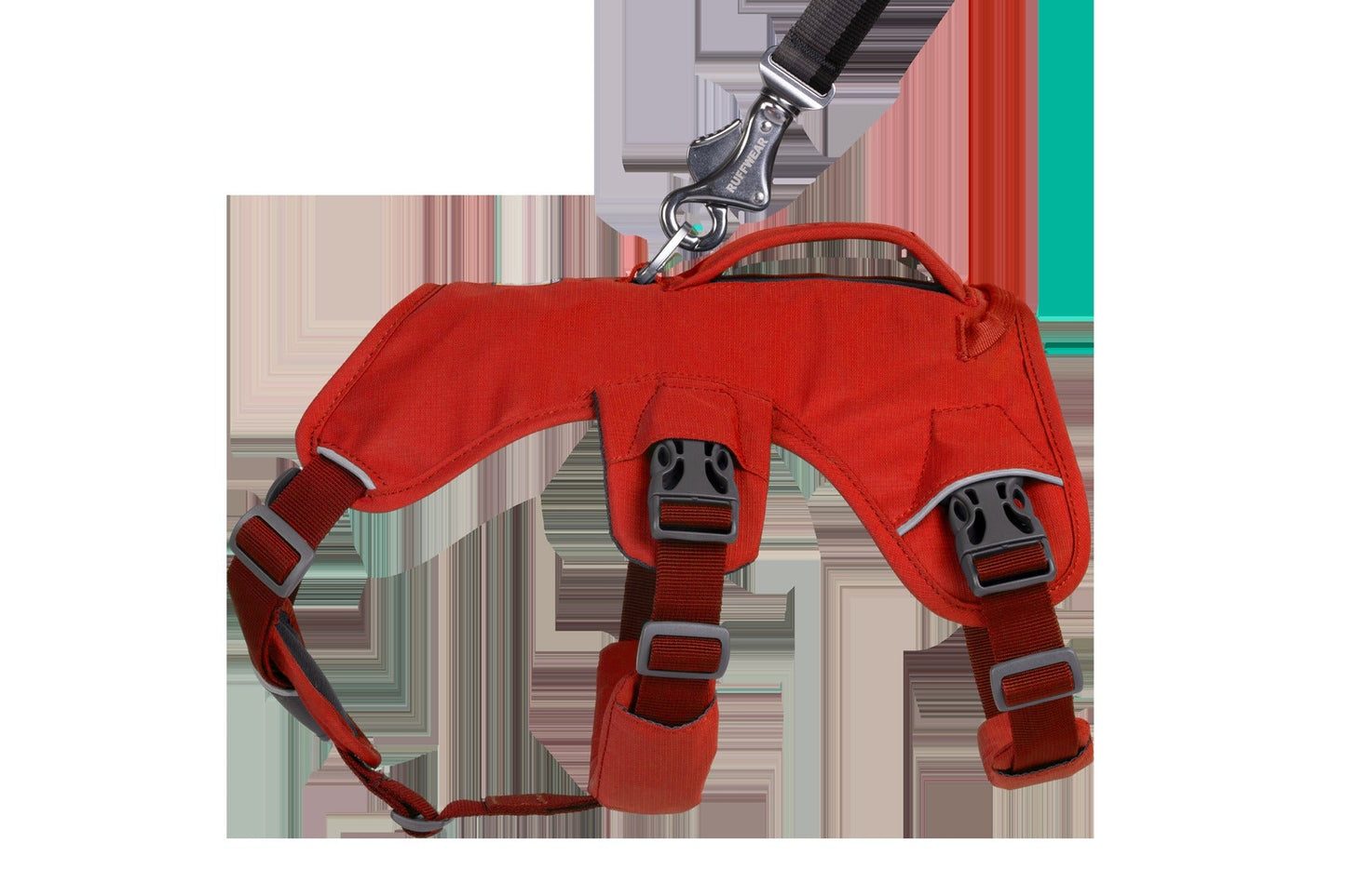 Web MasterTM Dog Harness with Handle