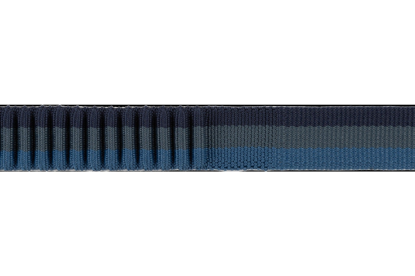 RoamerTM Bungee Dog Leash