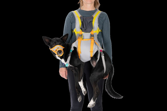 BackTrakTM Dog Evacuation Kit