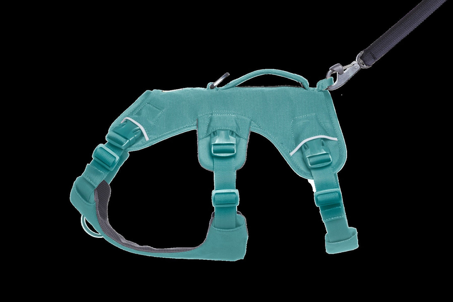 Web MasterTM Dog Harness with Handle