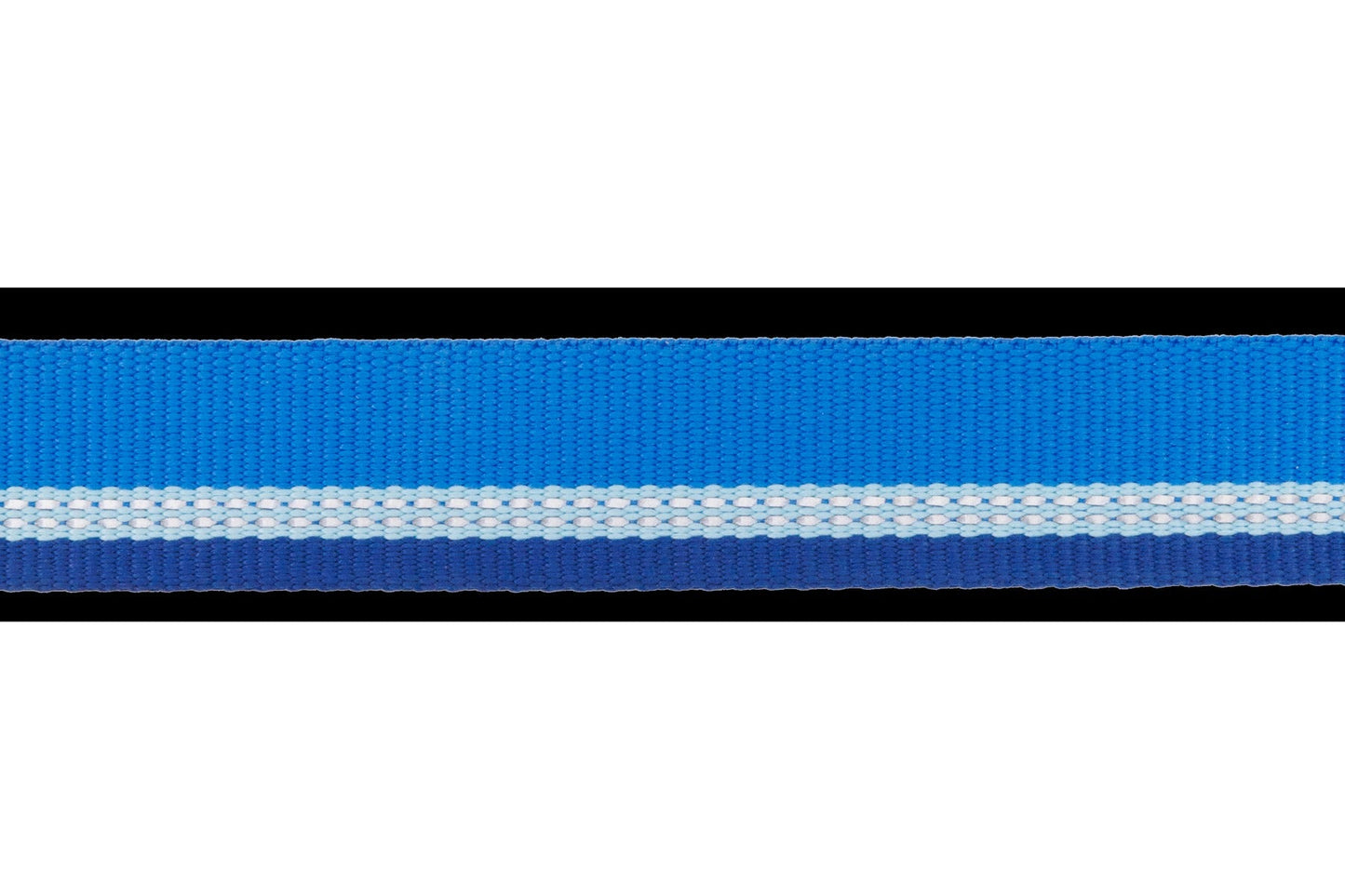 Top RopeTM Metal Buckle Dog Collar