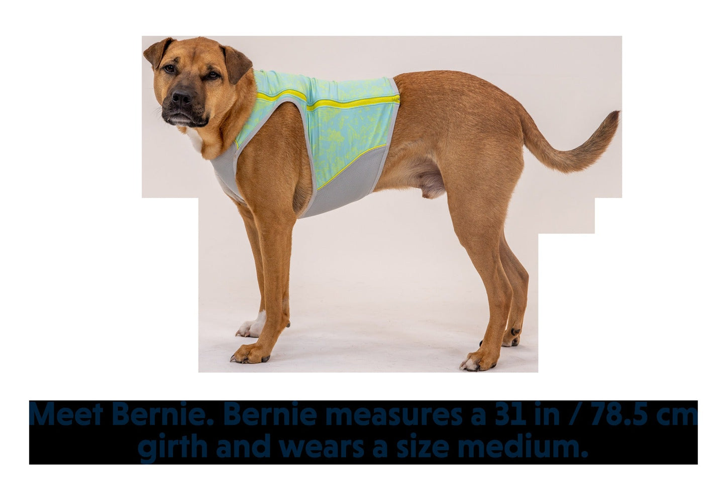 Swamp Cooler ZipTM Cooling Dog Vest