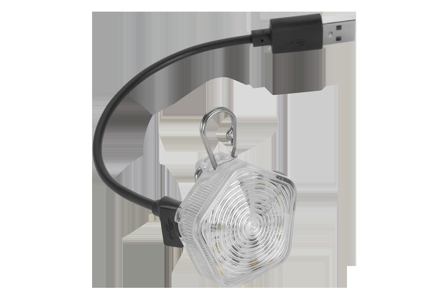 The BeaconTM Dog Safety Light