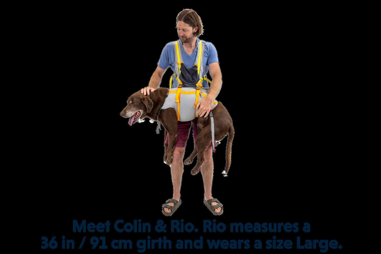BackTrakTM Dog Evacuation Kit