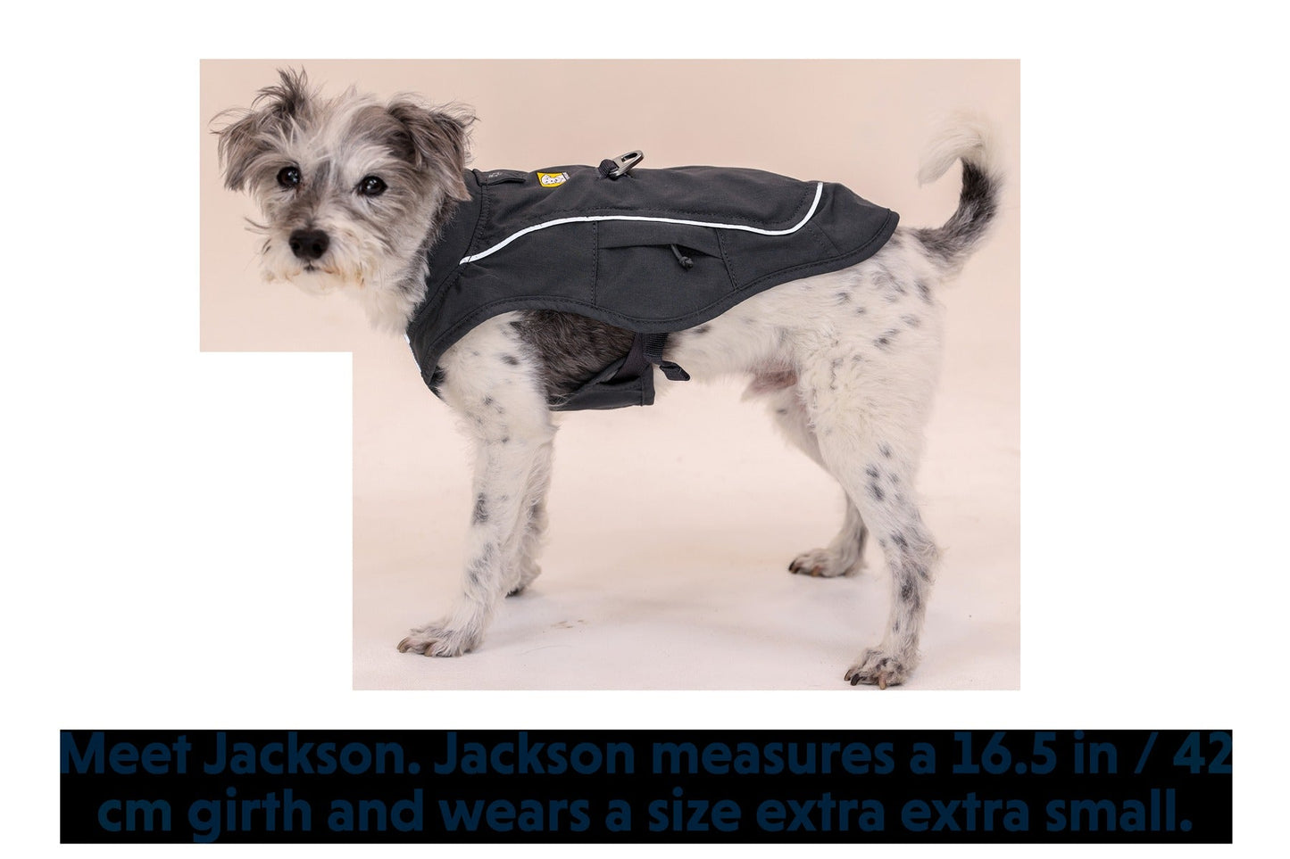 Overcoat FuseTM Vest