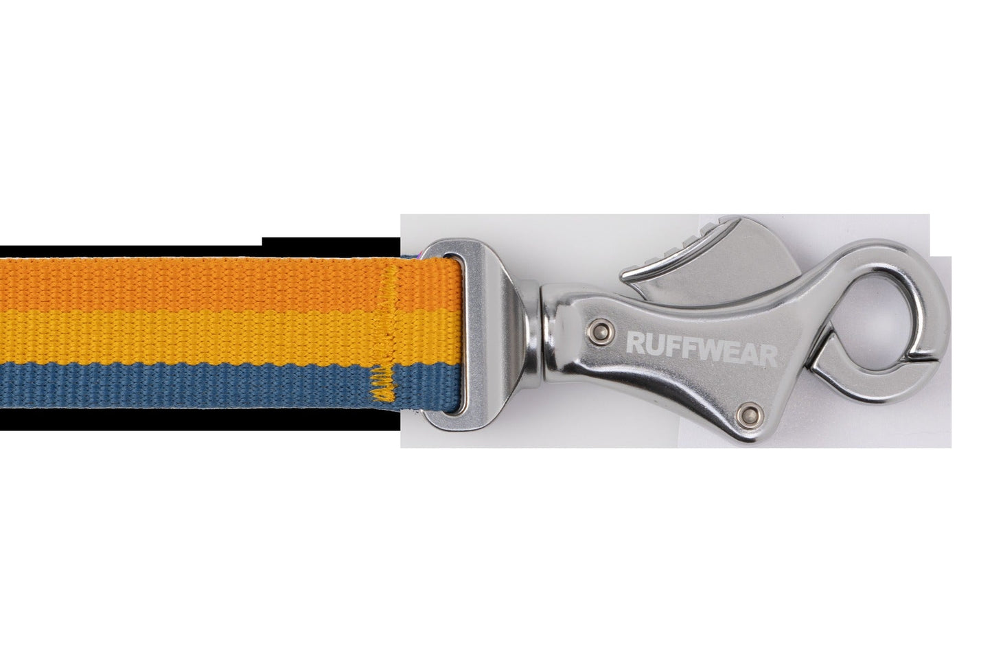 RoamerTM Bungee Dog Leash