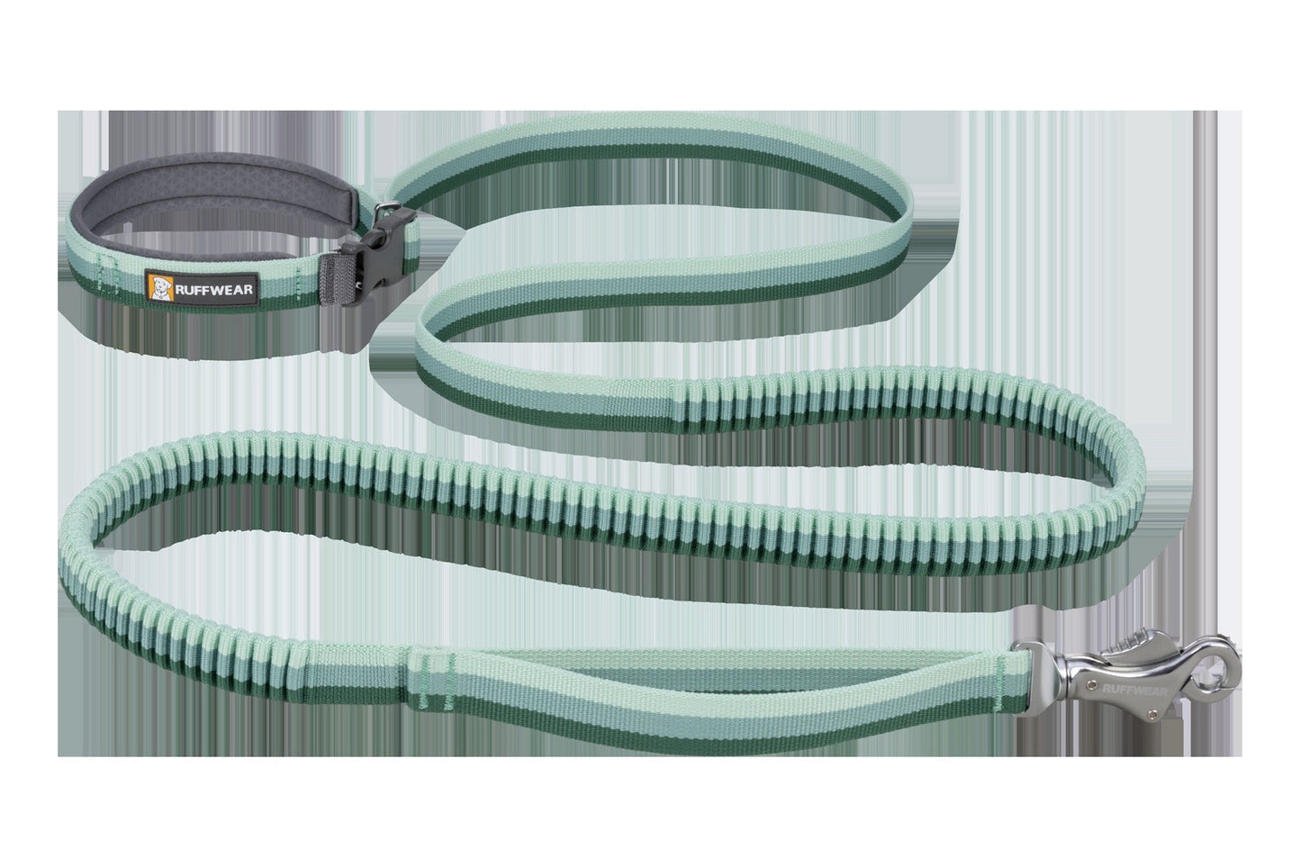 RoamerTM Bungee Dog Leash