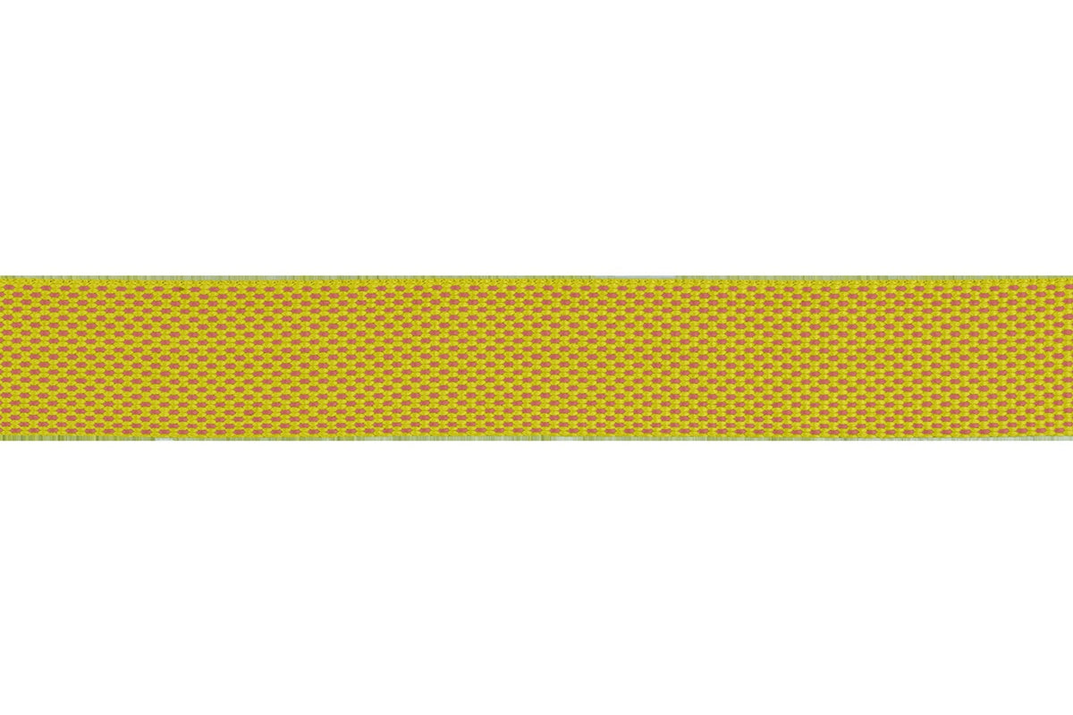 FlaglineTM Dog Leash
