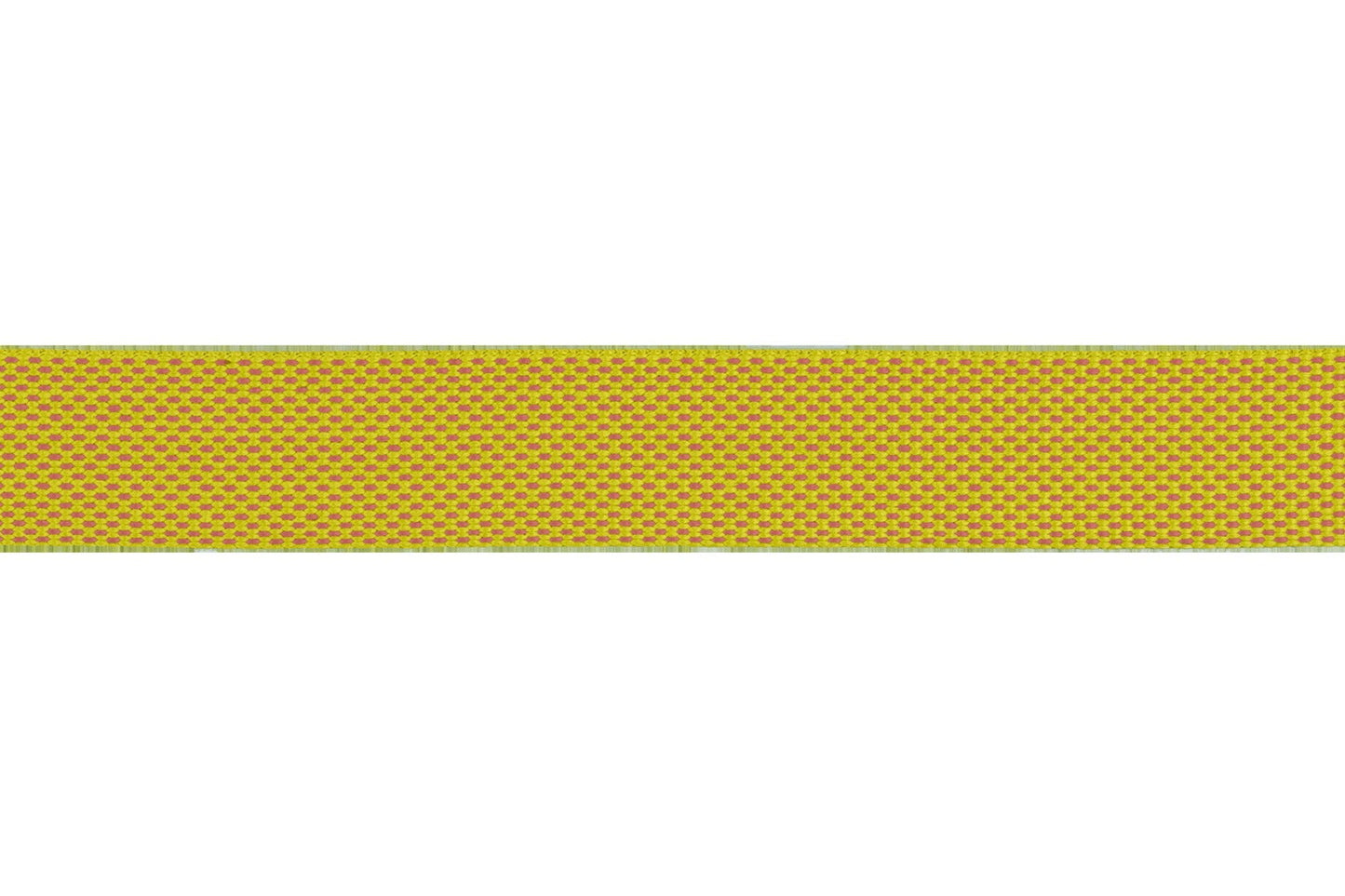 FlaglineTM Dog Leash