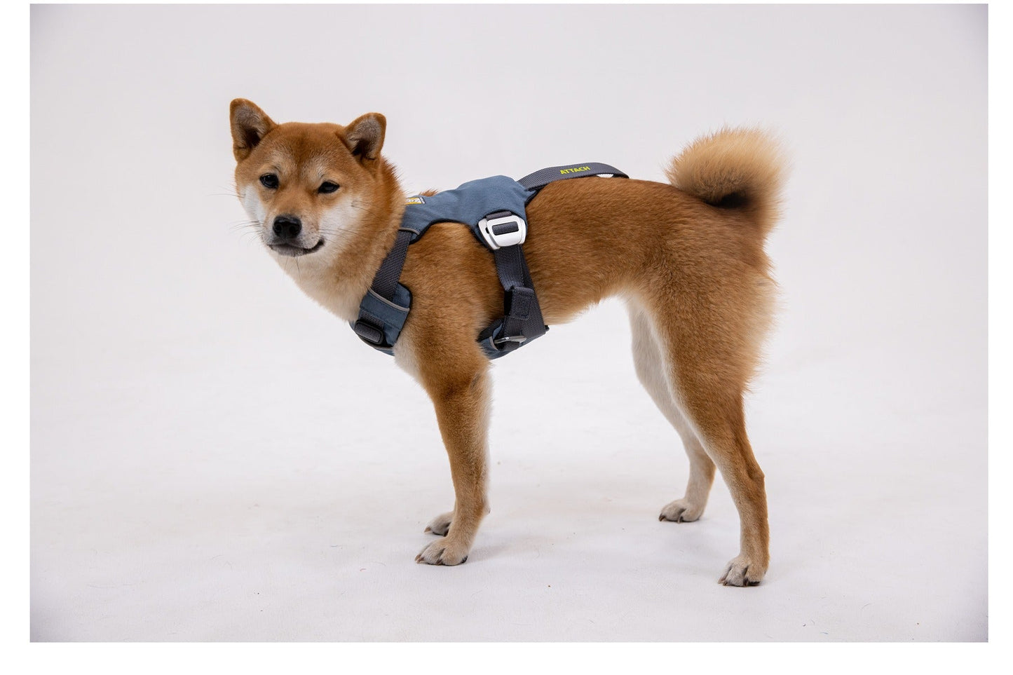 Load UpTM Dog Car Harness