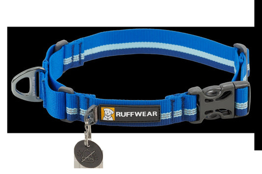 Web ReactionTM Martingale Dog Collar With Buckle