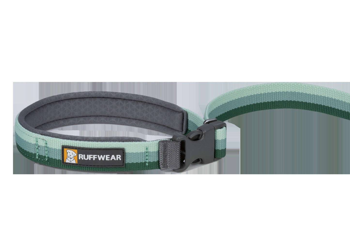 RoamerTM Bungee Dog Leash