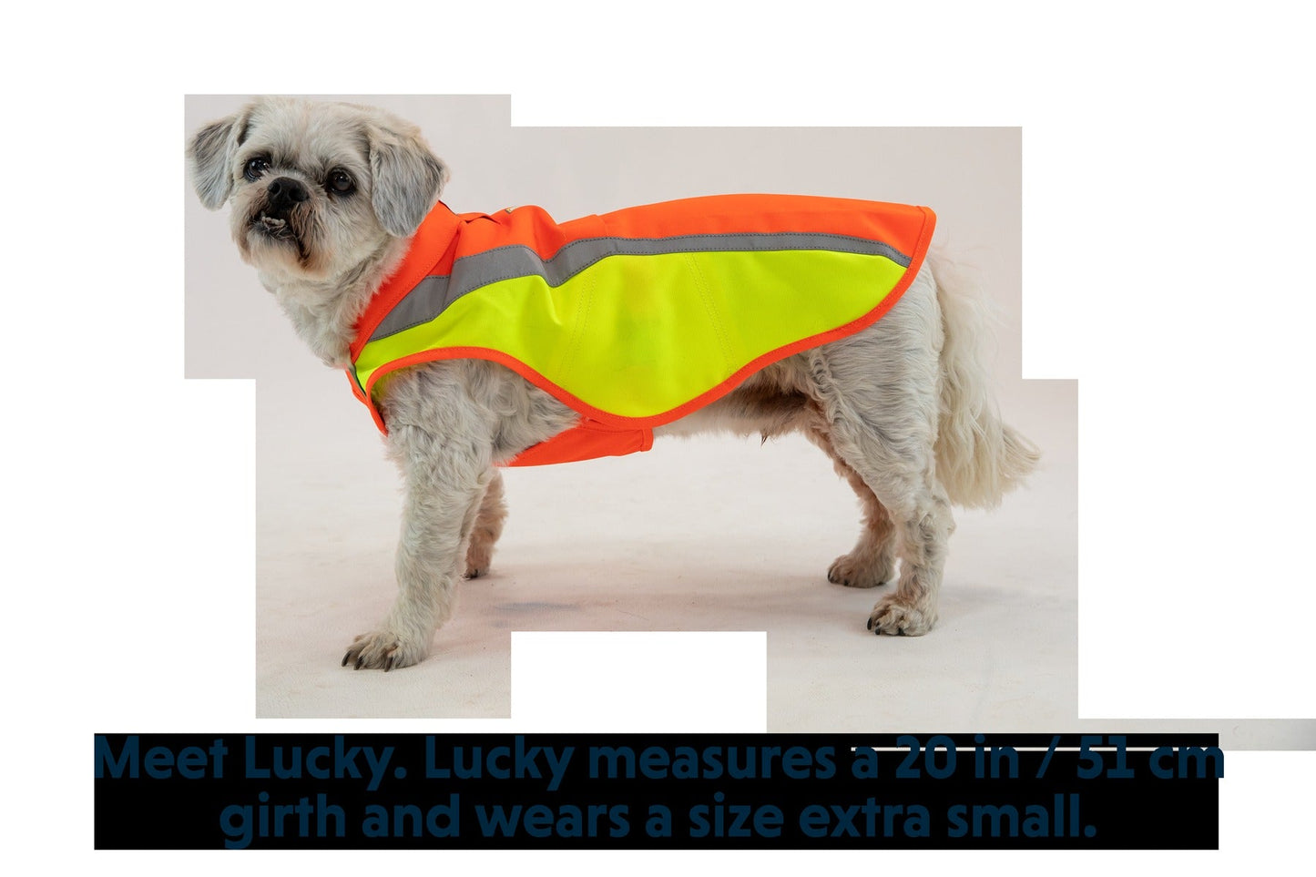 LumenglowTM High-Vis Vest