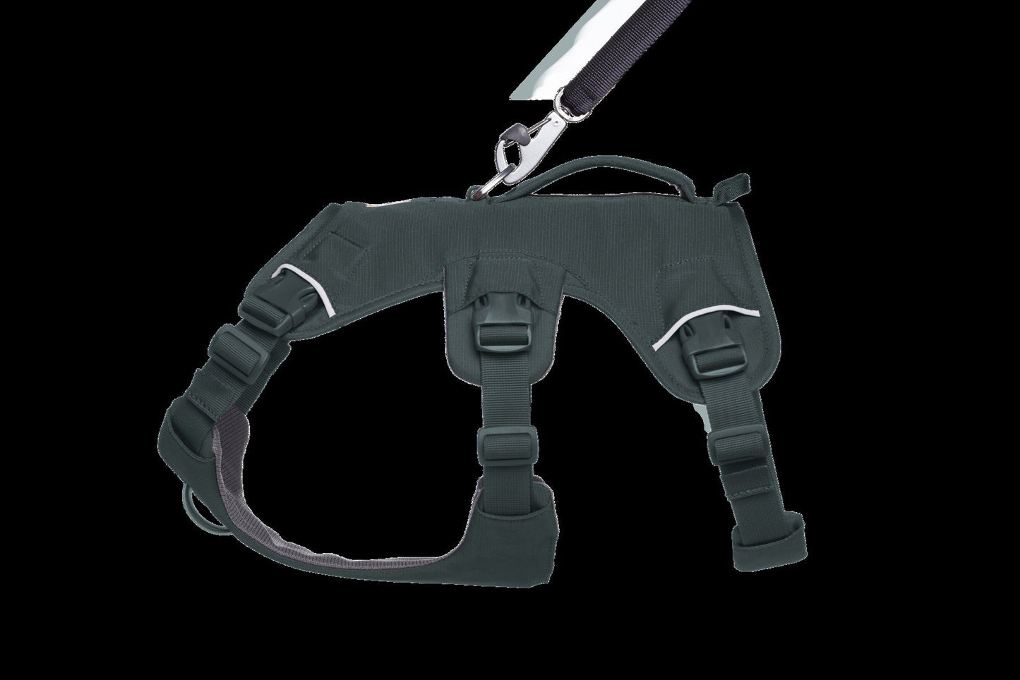 Web MasterTM Dog Harness with Handle