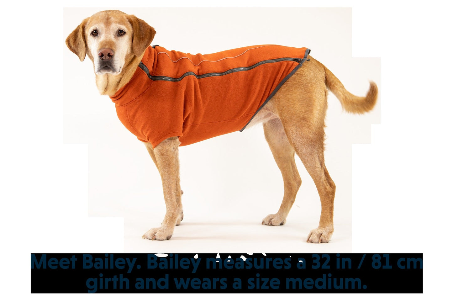 Climate ChangerTM Dog Fleece