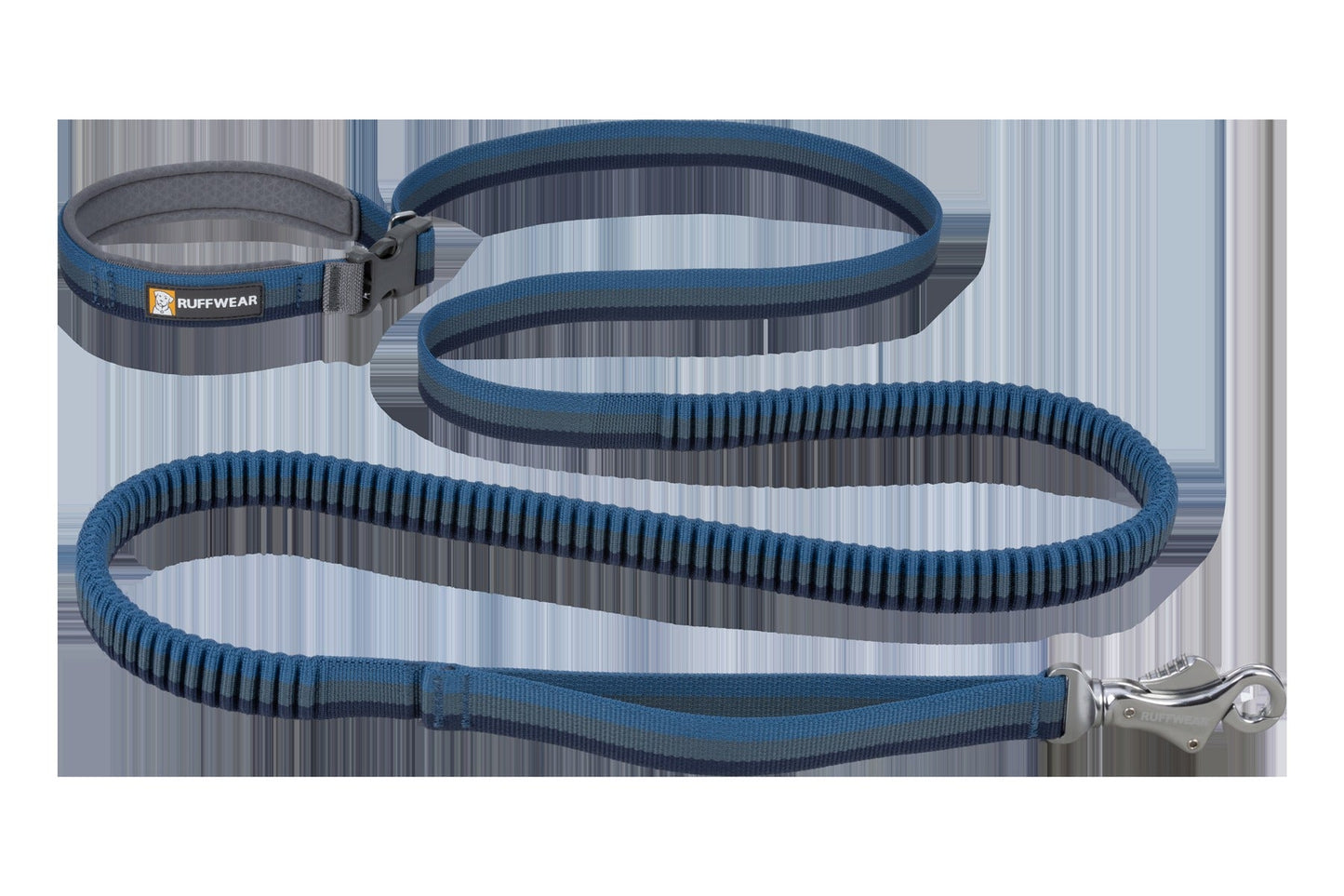 RoamerTM Bungee Dog Leash