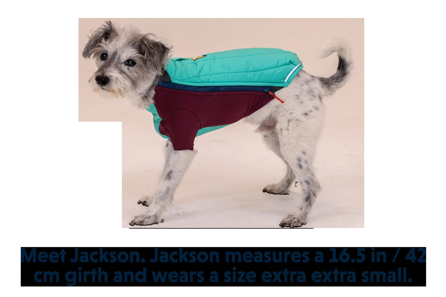 Powder HoundTM Dog Jacket