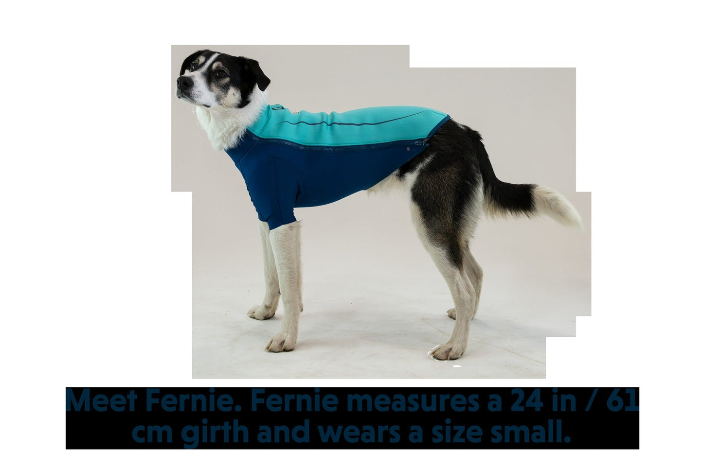 UndercoatTM Dog Water Jacket