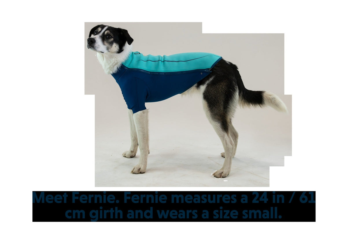 UndercoatTM Dog Water Jacket