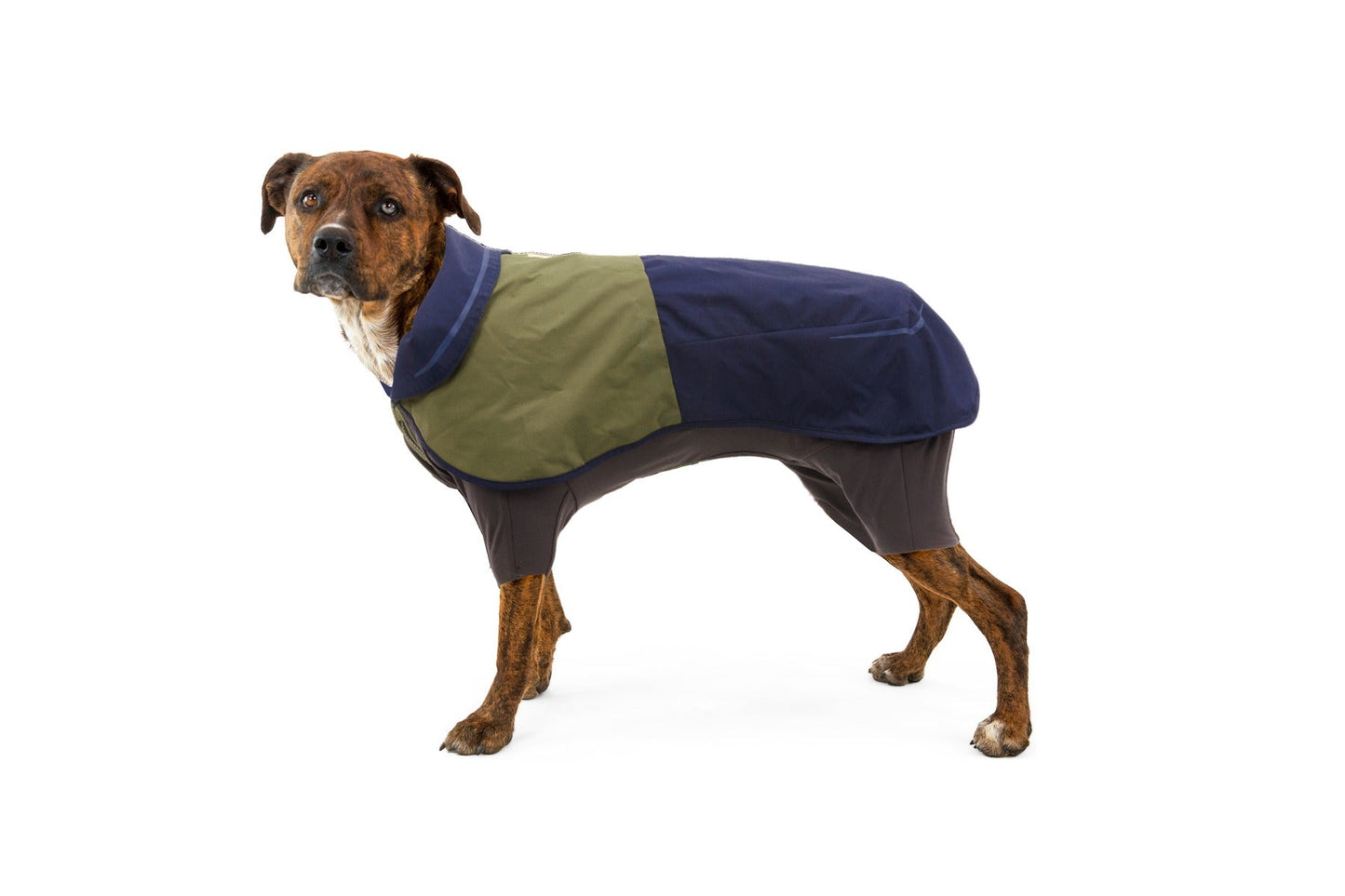 Sun ShowerTM Coverall Dog Rain Suit