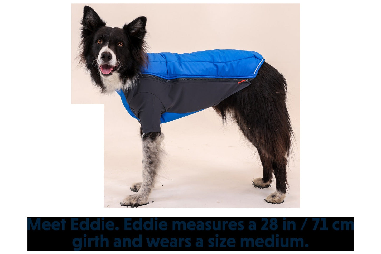 Powder HoundTM Dog Jacket