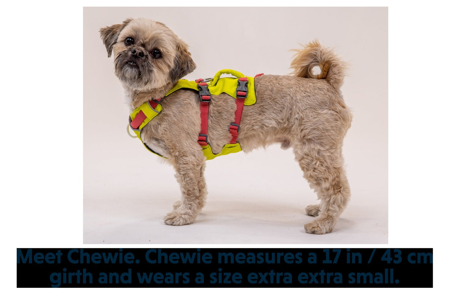 FlaglineTM Dog Harness with Handle