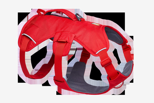 Web MasterTM Dog Harness with Handle