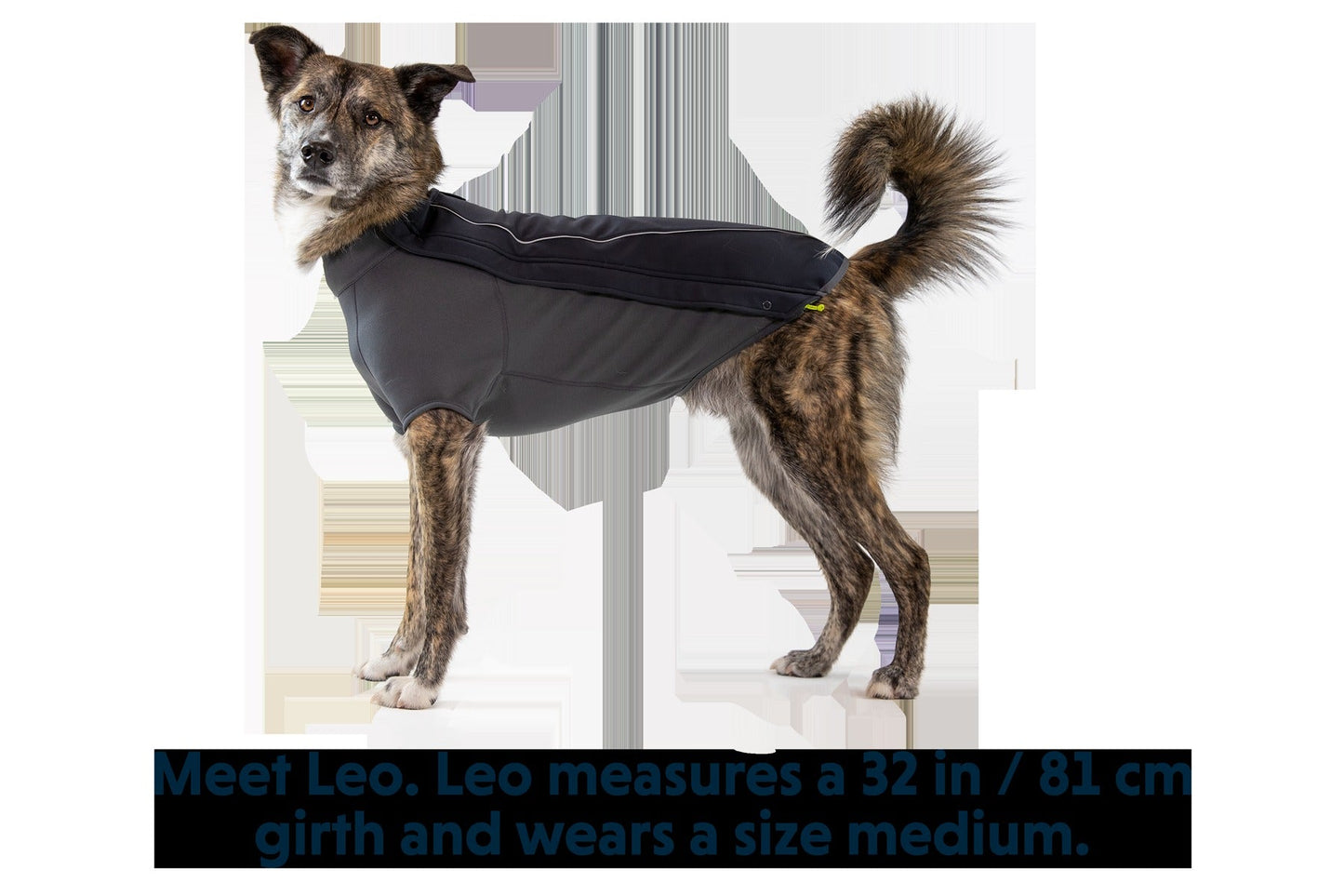 Cloud ChaserTM Dog Jacket