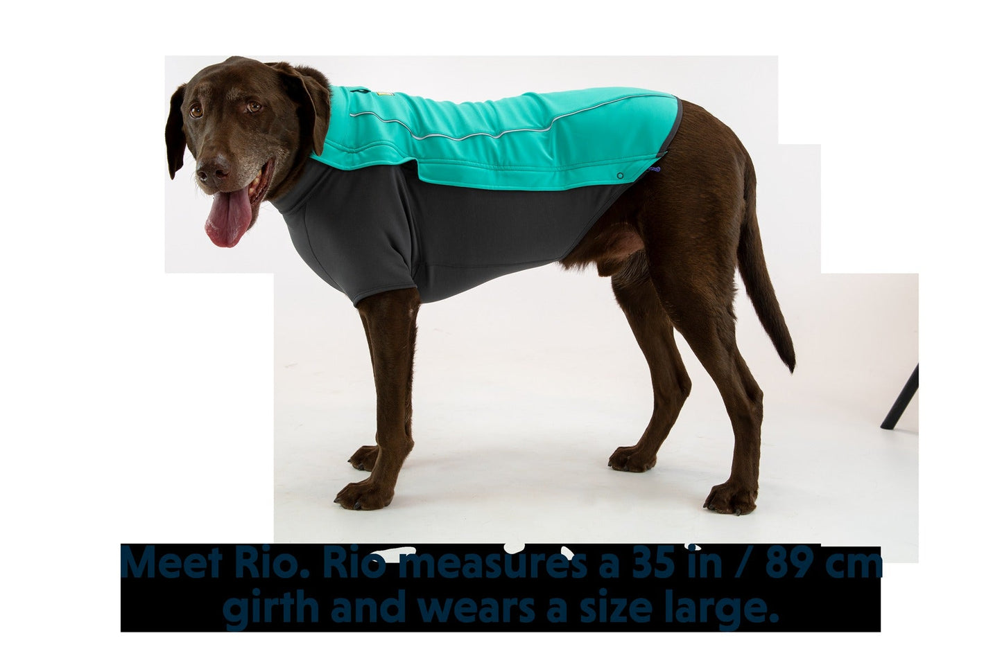 Cloud ChaserTM Dog Jacket
