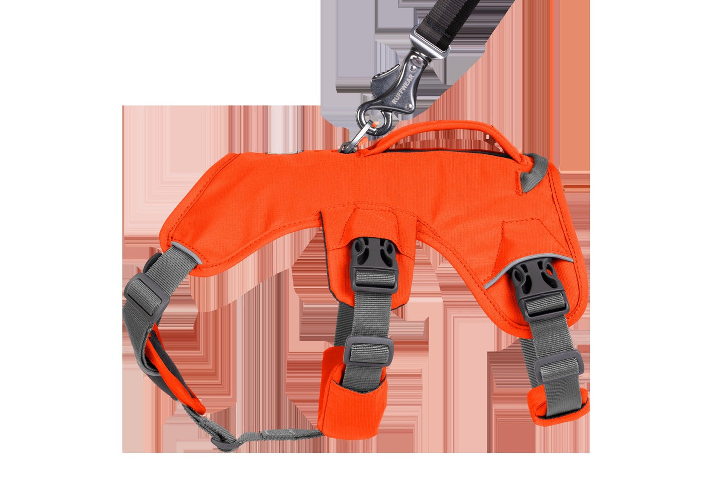 Web MasterTM Dog Harness with Handle