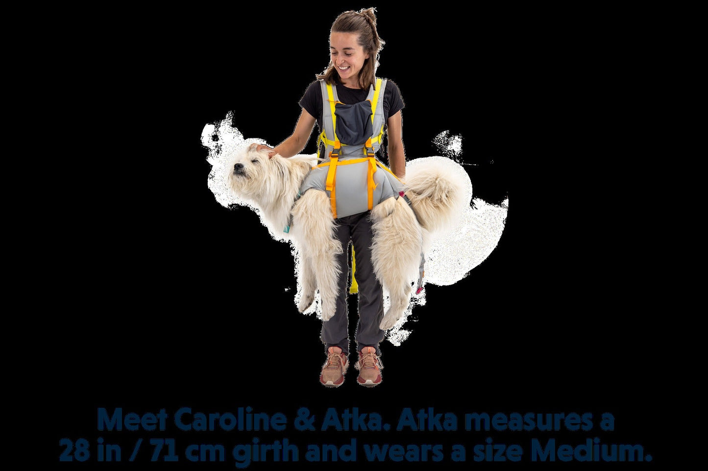 BackTrakTM Dog Evacuation Kit