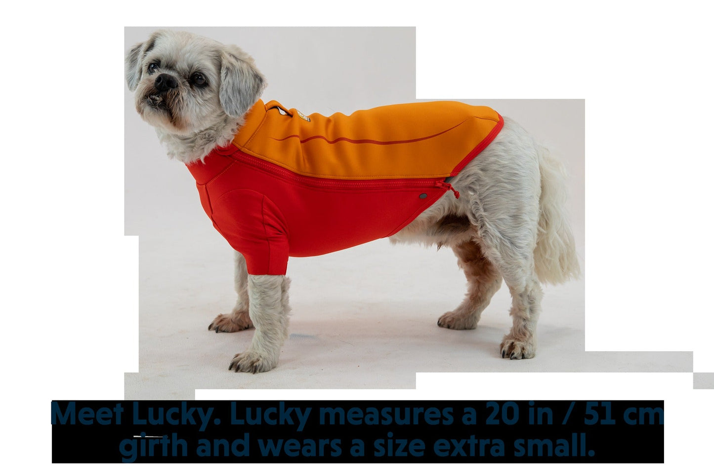 UndercoatTM Dog Water Jacket