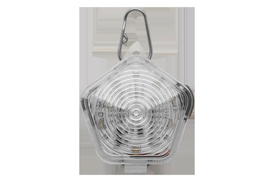The BeaconTM Dog Safety Light