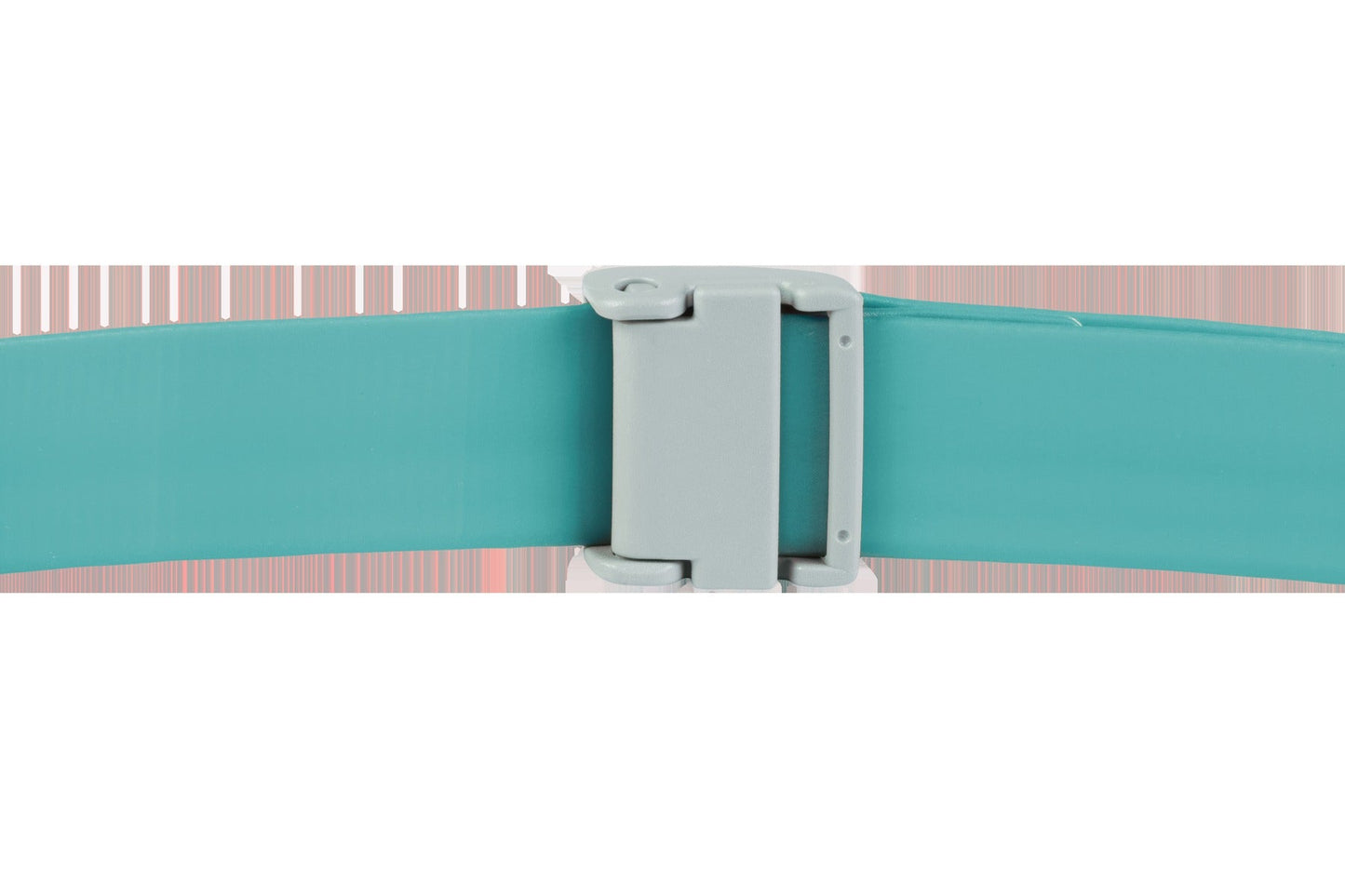 ConfluenceTM Waterproof Dog Collar