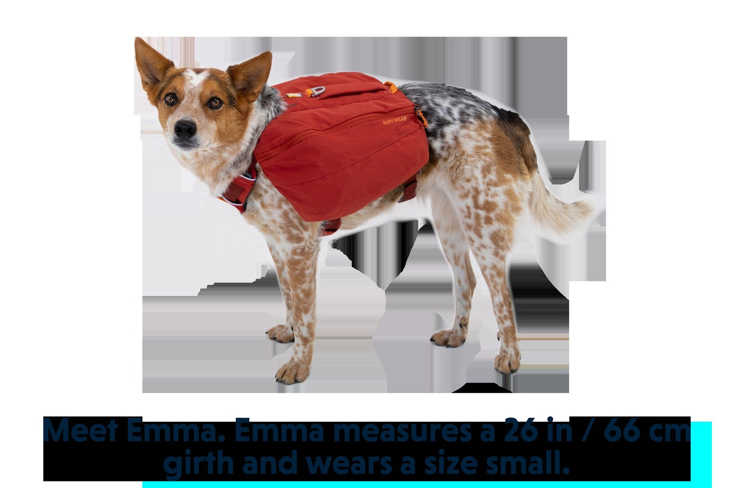 Front RangeTM Day Pack