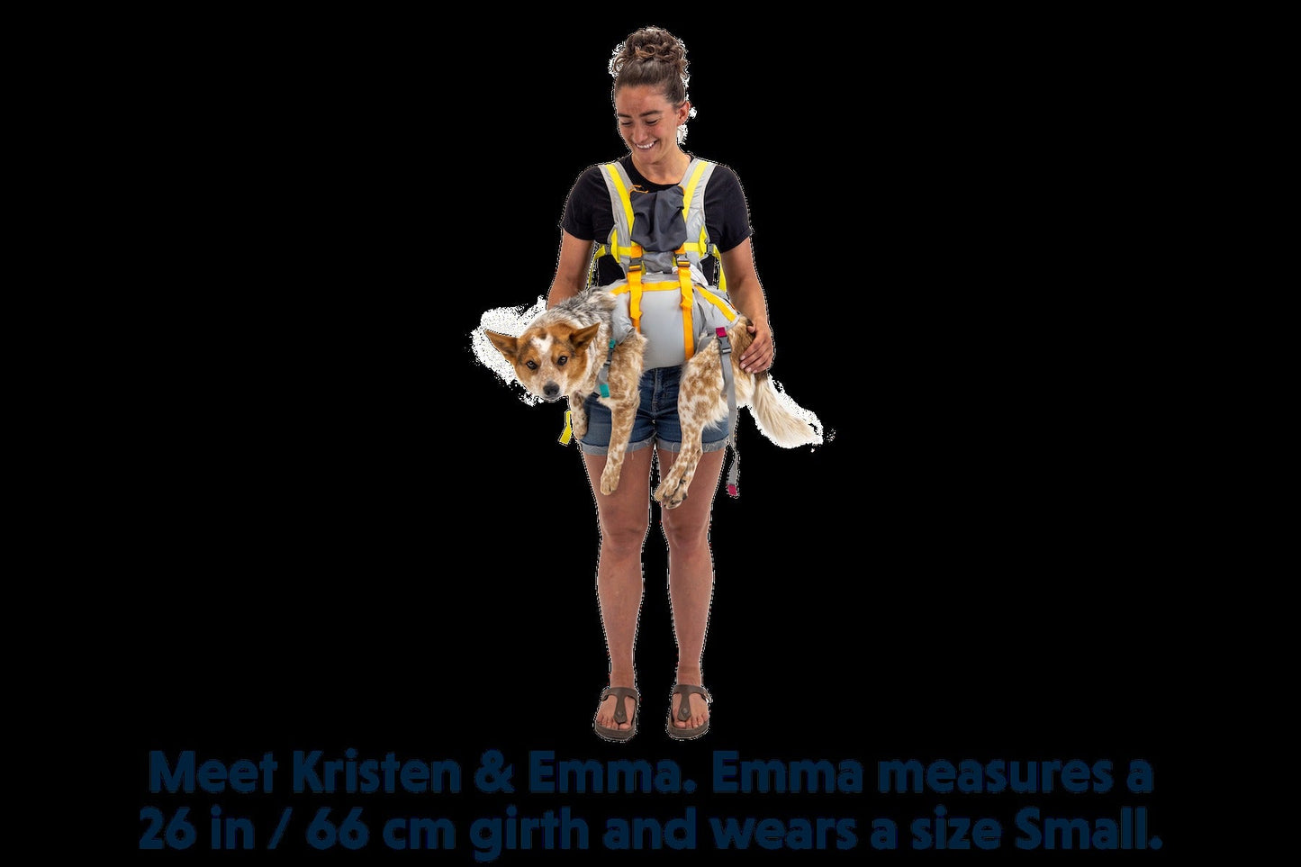BackTrakTM Dog Evacuation Kit
