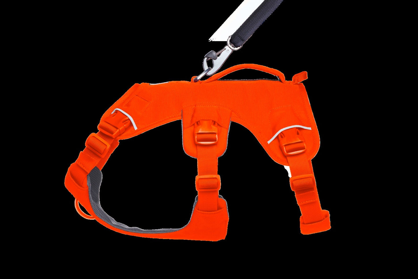 Web MasterTM Dog Harness with Handle