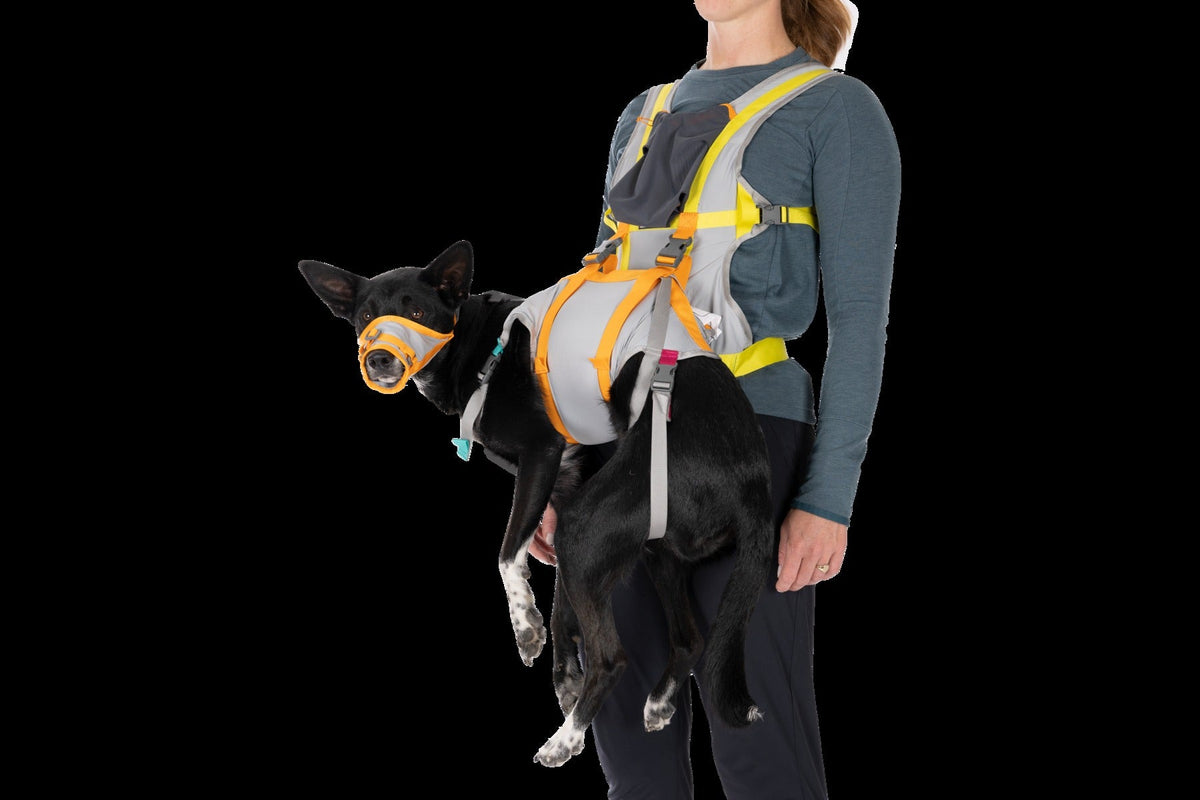 BackTrakTM Dog Evacuation Kit