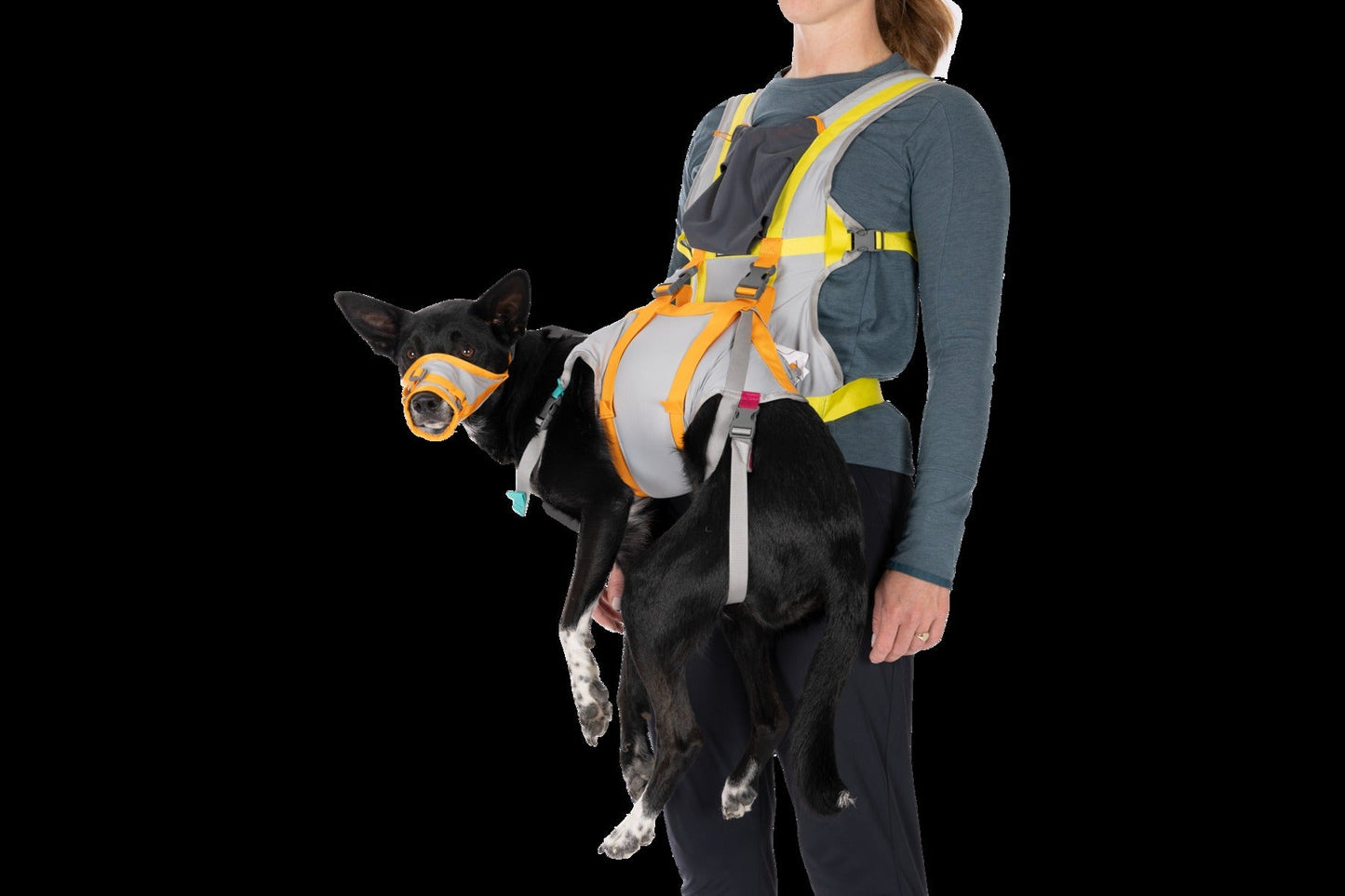 BackTrakTM Dog Evacuation Kit