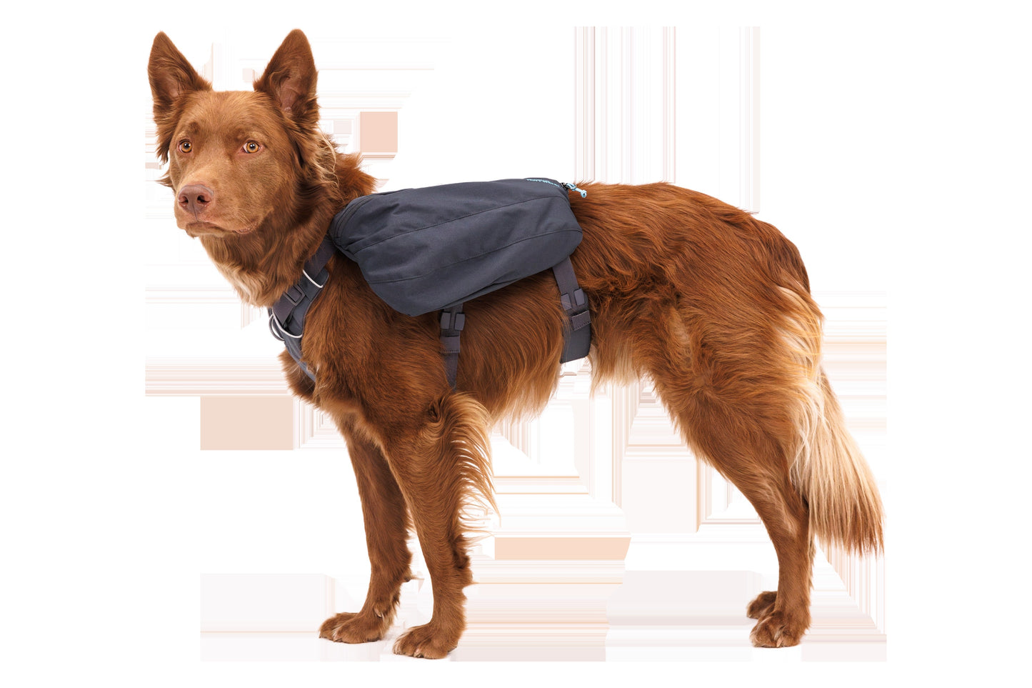 Front Range® Day Pack