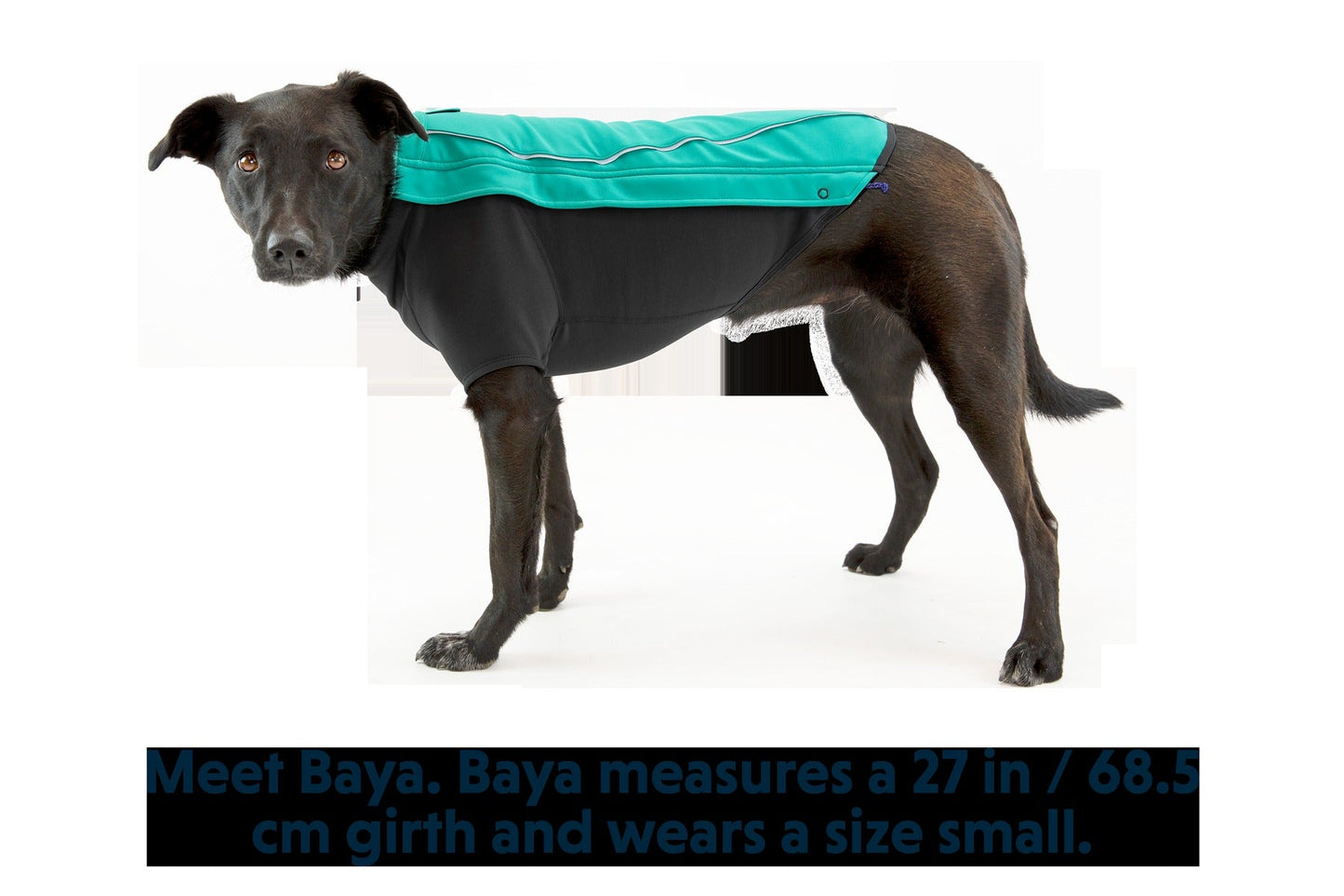 Cloud ChaserTM Dog Jacket