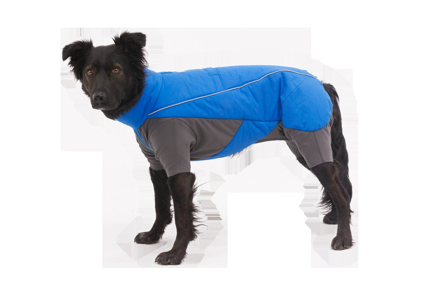 VertTM Coverall Dog Snow Suit
