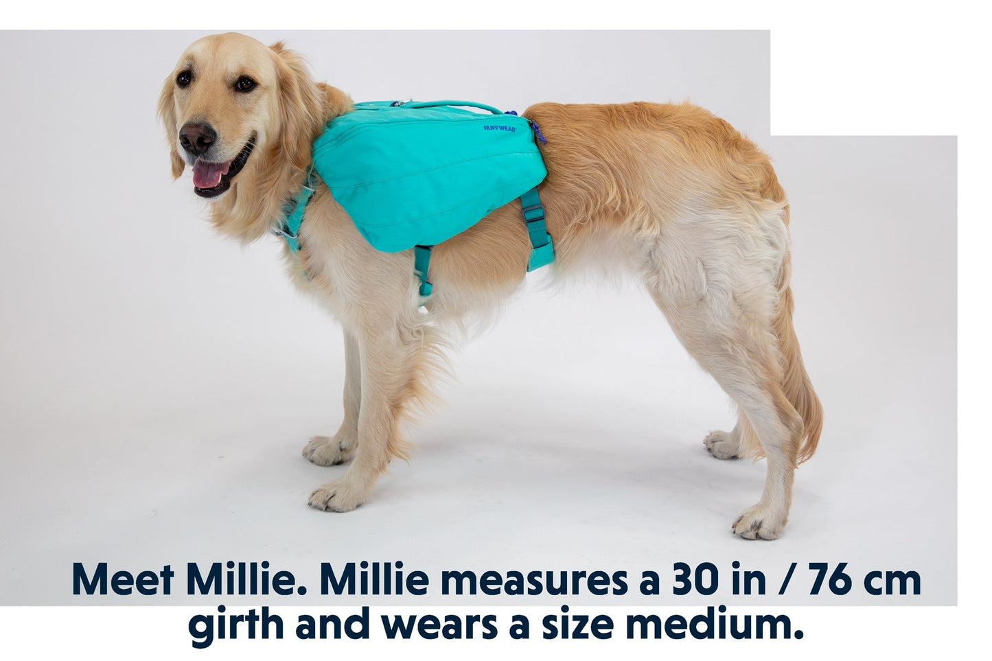 Front RangeTM Day Pack