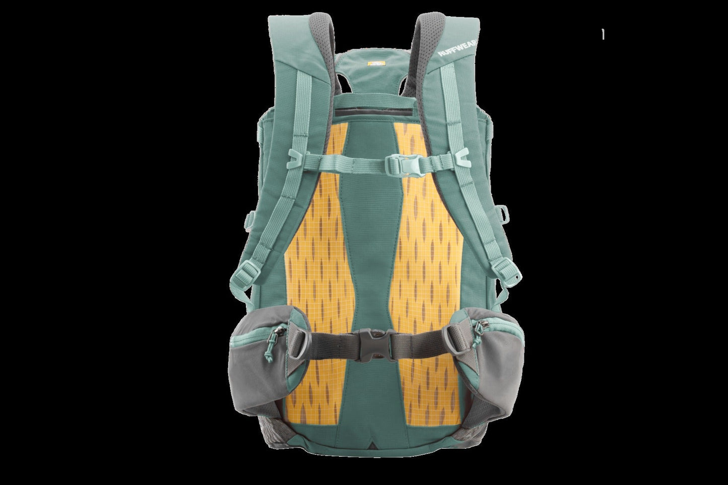 Hitch HikerTM Dog Backpack Carrier