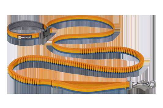 RoamerTM Bungee Dog Leash