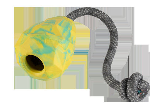 Huck-a-ConeTM Interactive Toy
