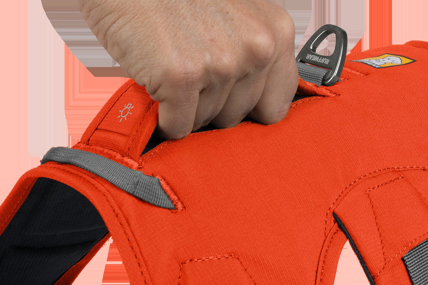 Web MasterTM Dog Harness with Handle