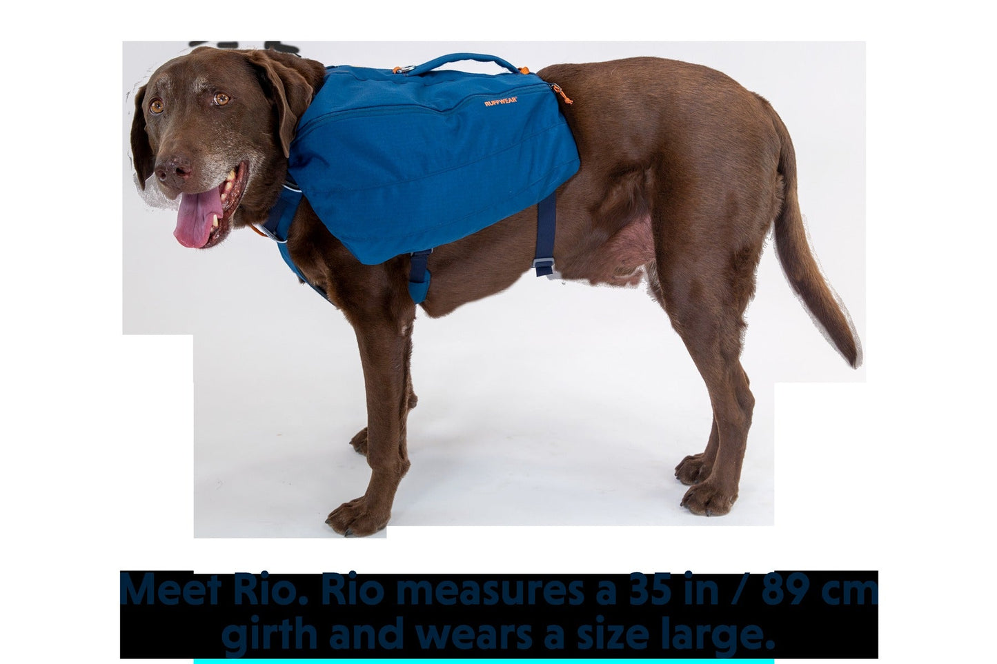 Front RangeTM Day Pack