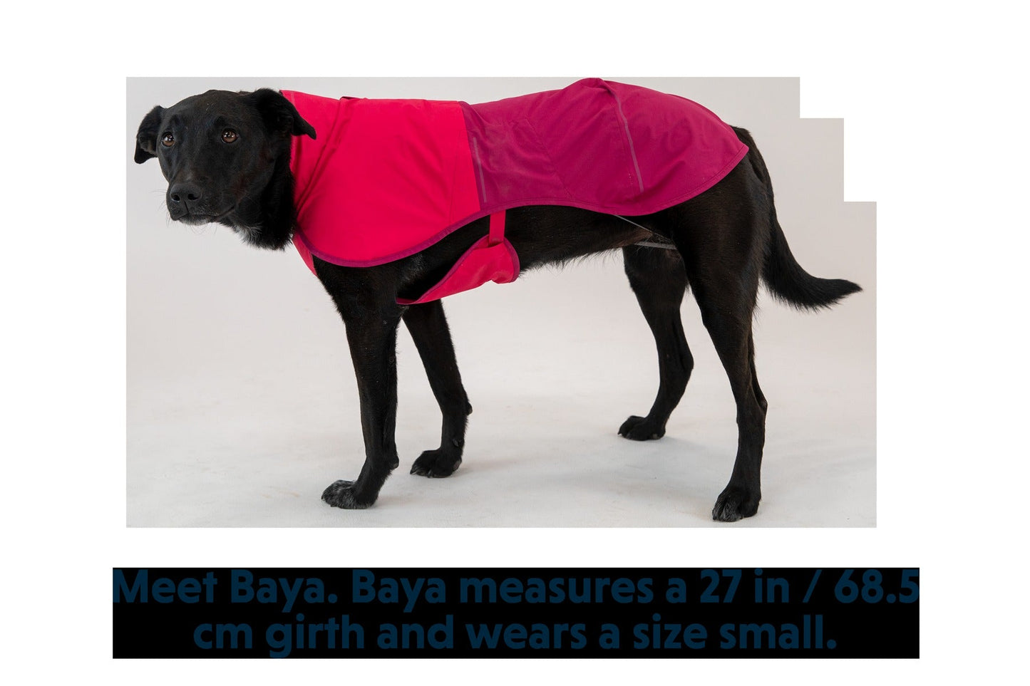 Sun ShowerTM Dog Raincoat