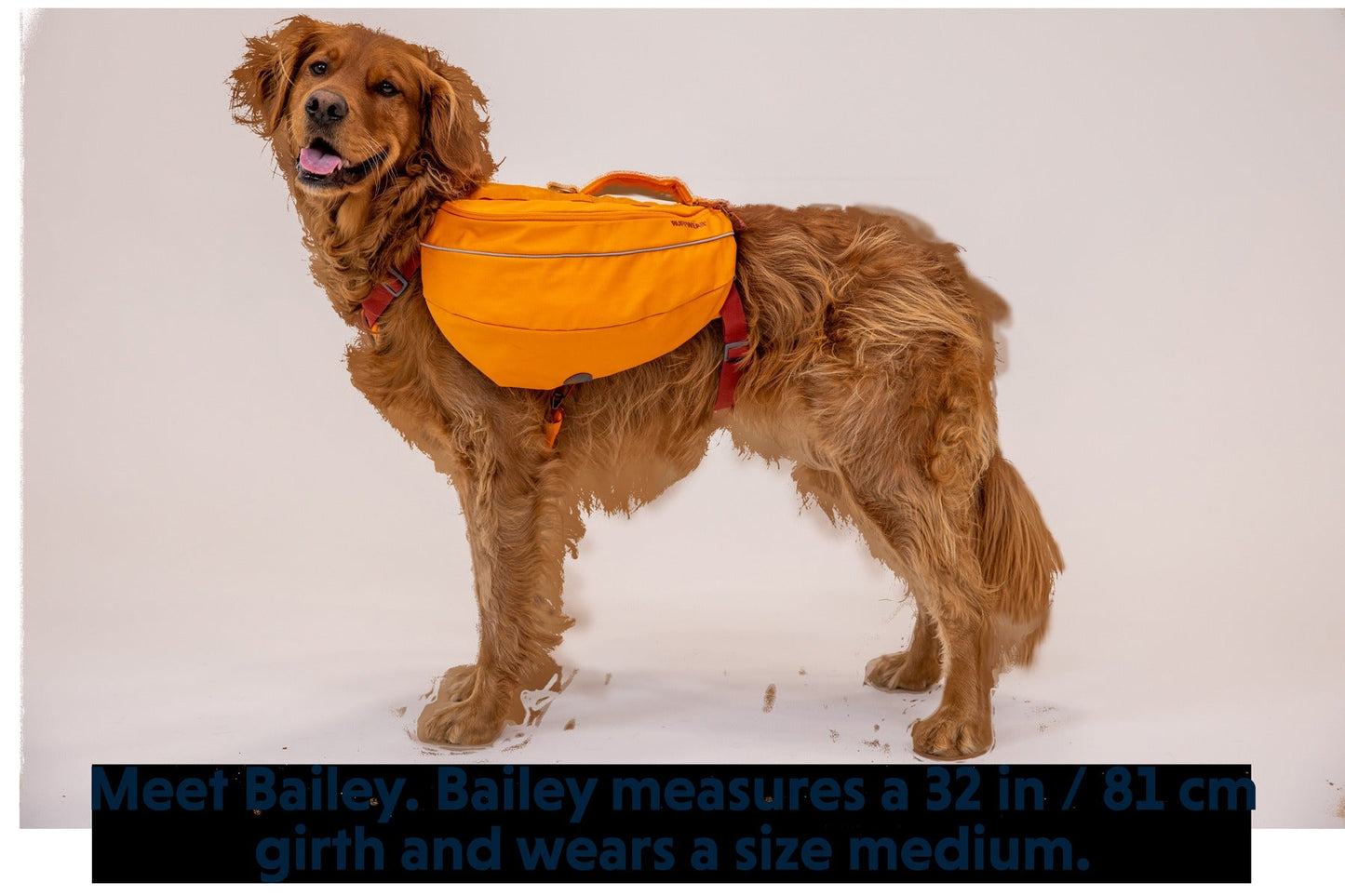 ApproachTM Dog Backpack
